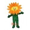 Sunflower Custom Cartoon Mascot Costume
