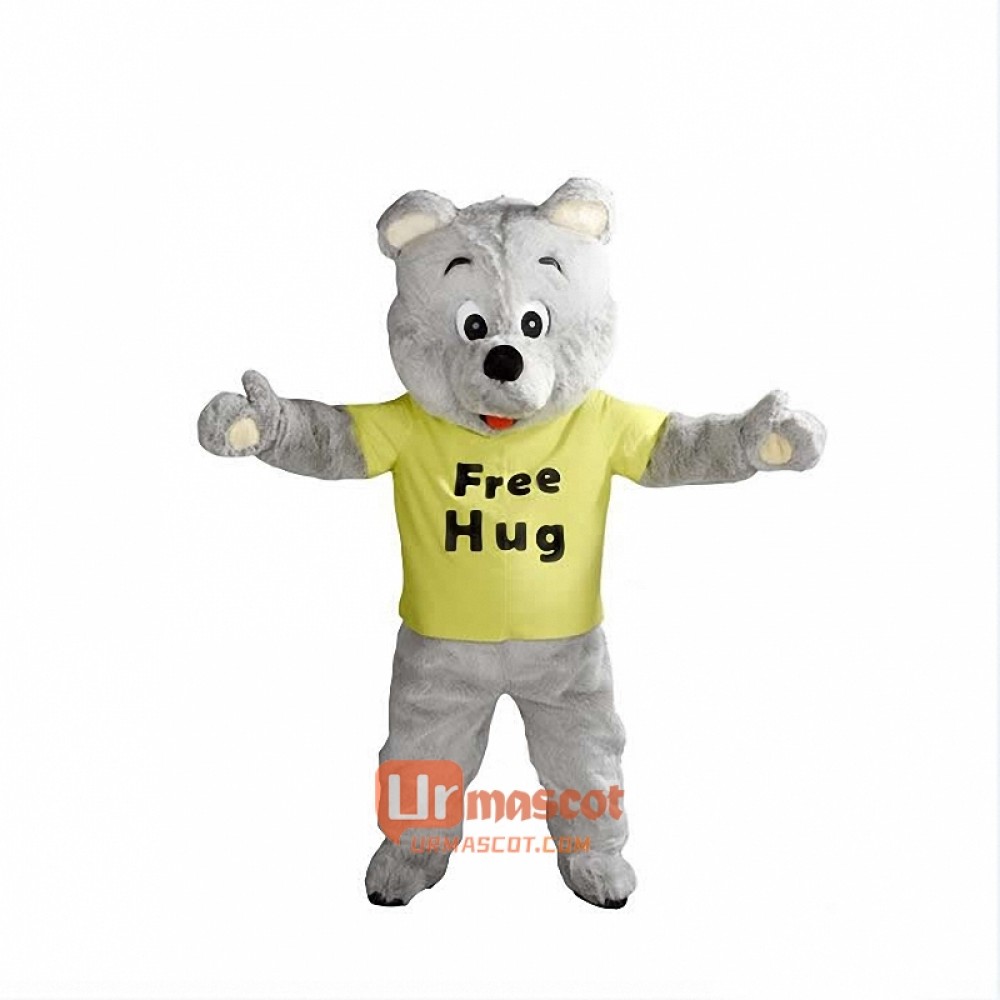 Teddy bear Custom Cartoon Mascot Costume Free hug