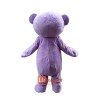 Teddy Bear Custom Mascot Cartoon Costume