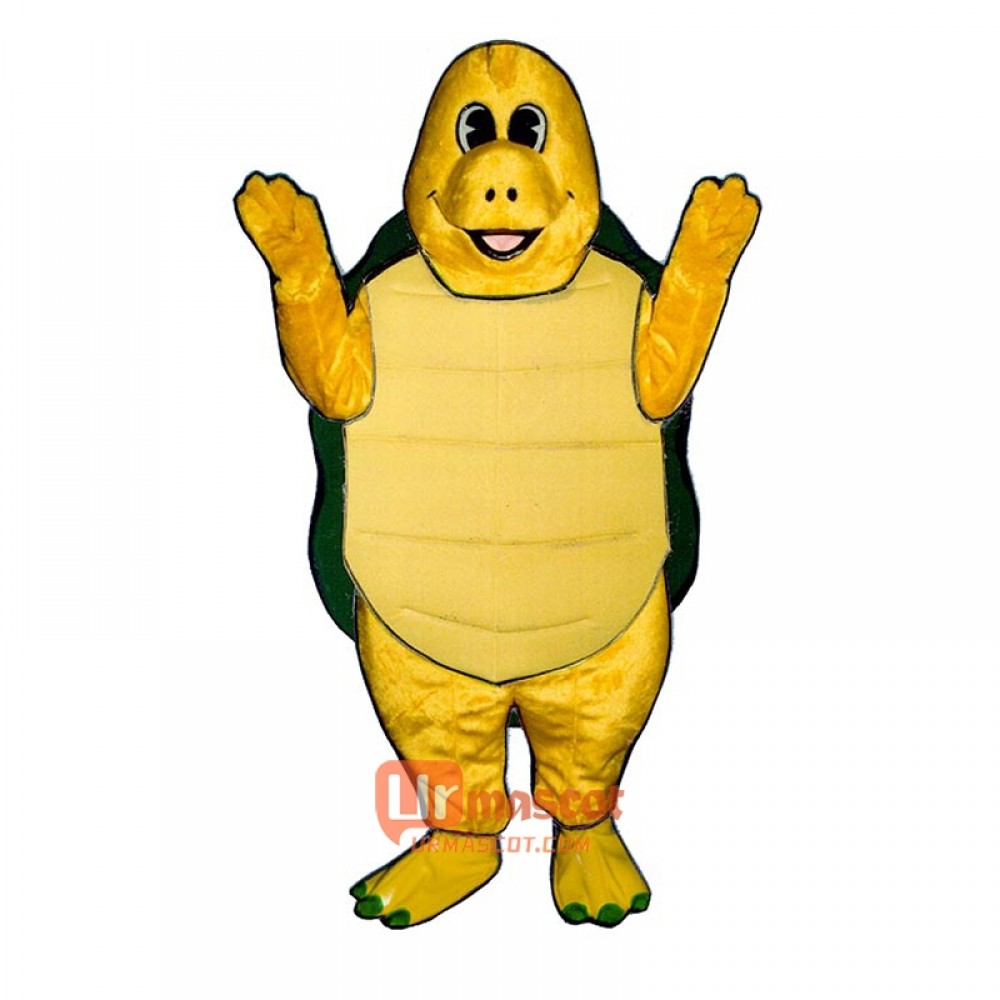 Terry Turtle Mascot Cartoon Costume