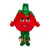 Tomato Custom Cartoon Mascot Costume