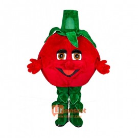 Tomato Custom Cartoon Mascot Costume