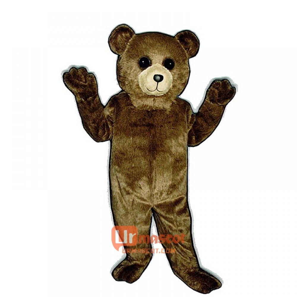 Toy Teddy Bear Custom Cartoon Mascot Costume