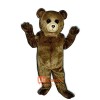 Toy Teddy Bear Custom Cartoon Mascot Costume