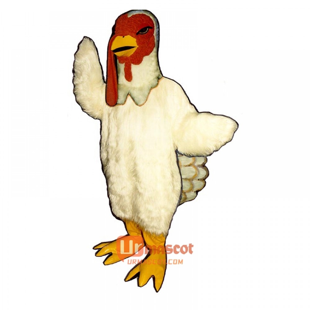 Turkey Cartoon Costume Mascot