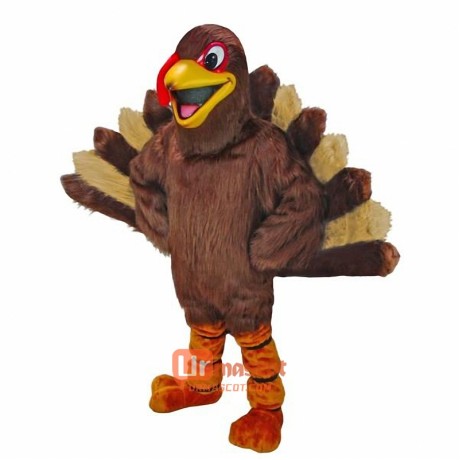 Turkey Cartoon Mascot Costume