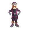 Viking Custom Cartoon Mascot Costume