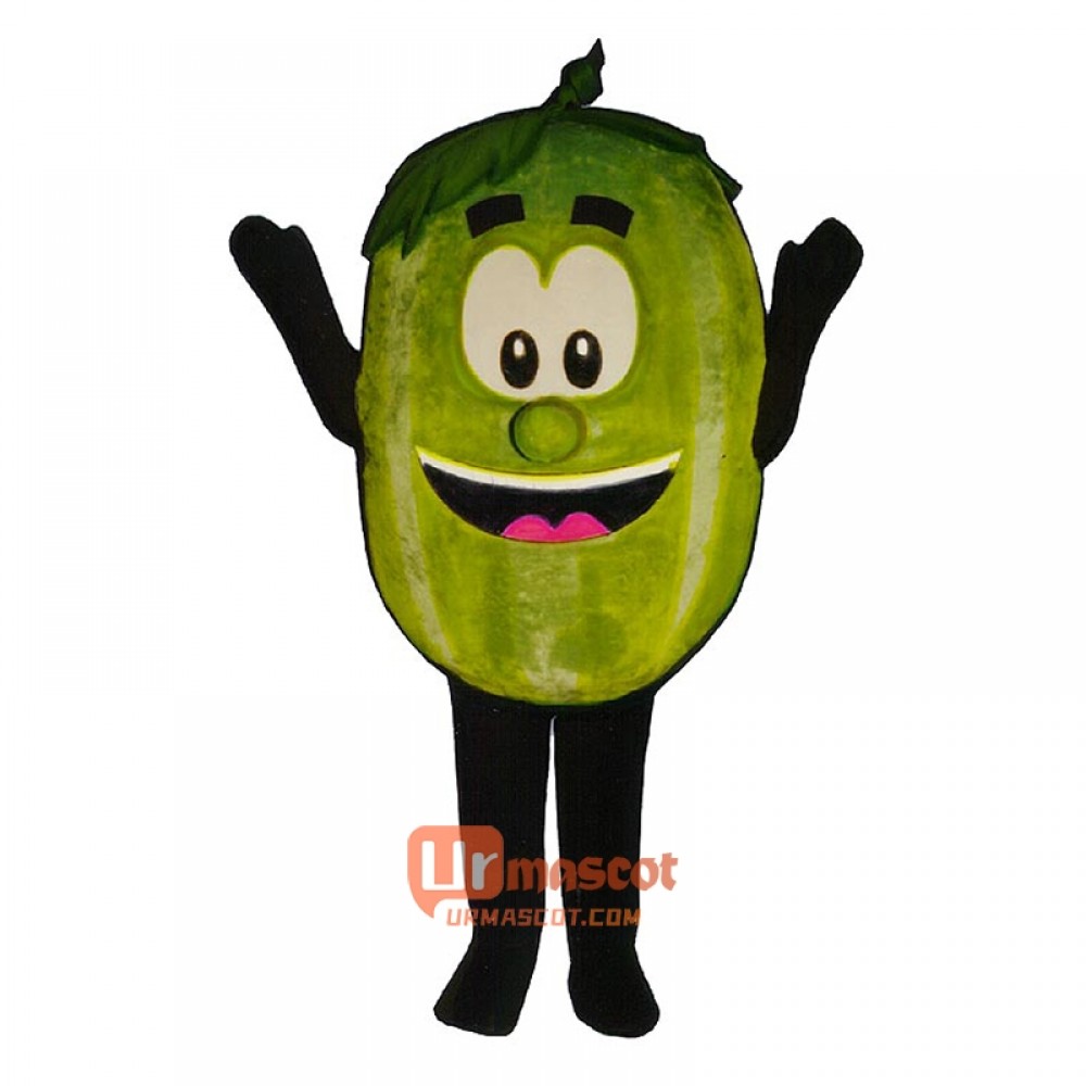 Wally Watermelon (Bodysuit not included) Cartoon Costume Mascot