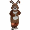 Wild Rabbit Cartoon Mascot Costume Cosplay Outfits