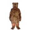 Willy Bear Custom Cartoon Mascot Costume