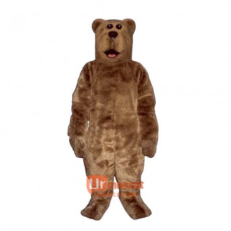 Willy Bear Custom Cartoon Mascot Costume