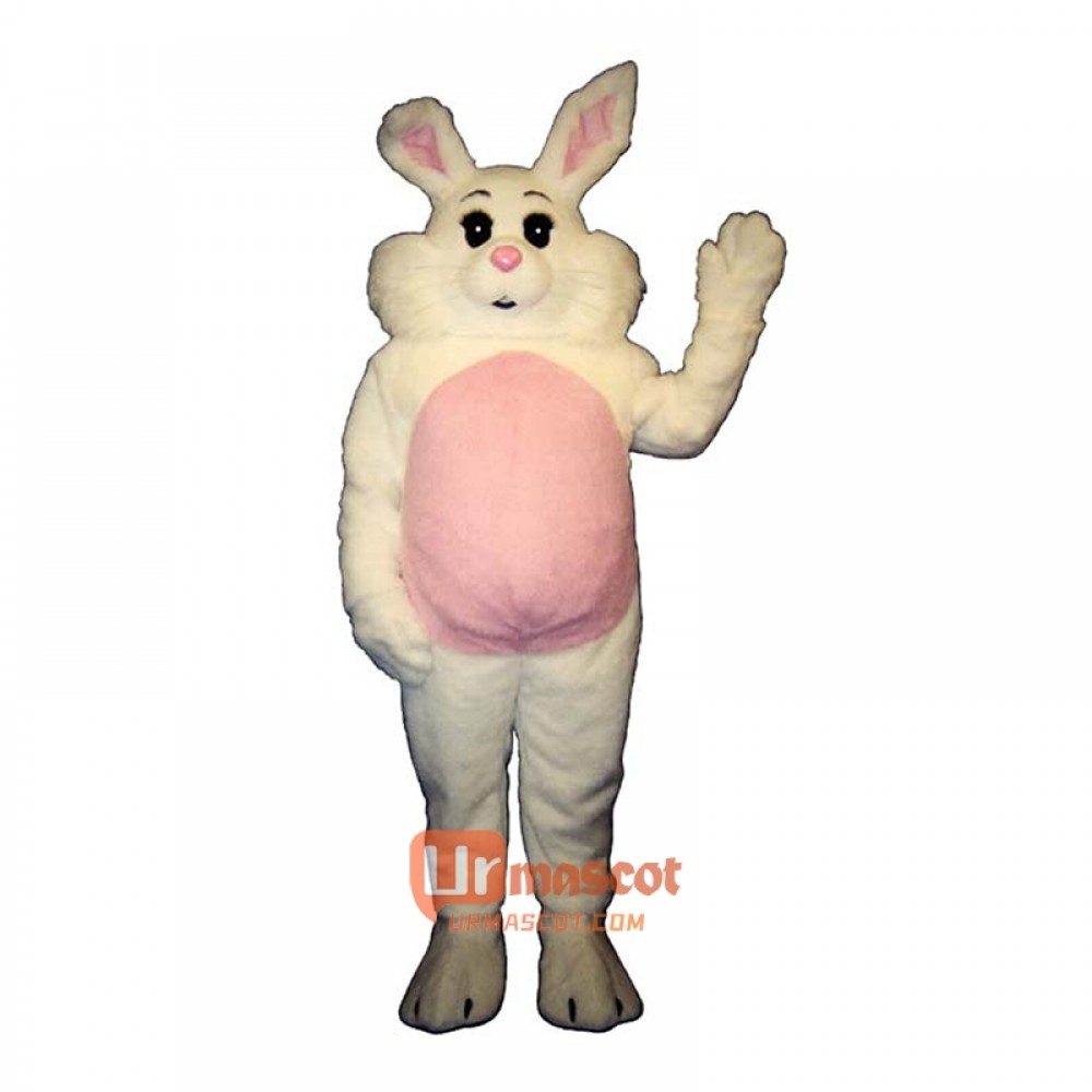 Willy Rabbit Cartoon Costume Mascot