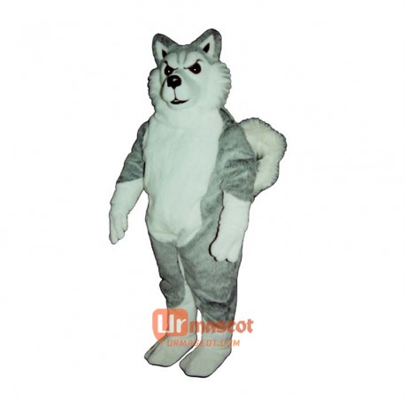 Willy Wolf Mascot Cartoon Costume