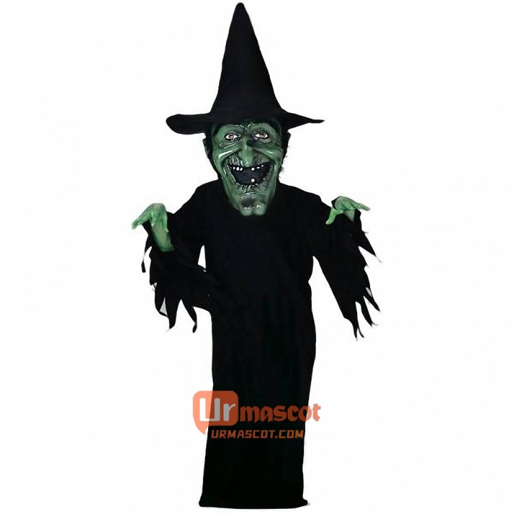 Witch Cartoon Mascot Costume
