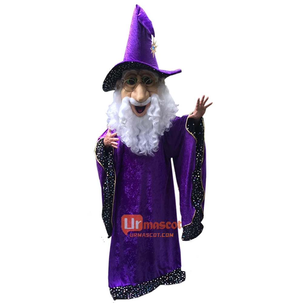 Wizard Cartoon Mascot Costume