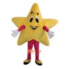 Yellow Five-Pointed Star Cartoon Mascot Costume Plush with Mask